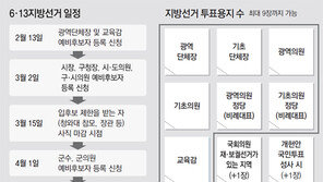 개헌-재보궐선거땐 투표용지 최대 9장