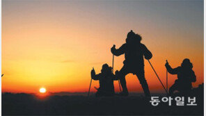 달려온 새해, 한걸음 한걸음 힘차게