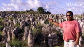 [대박! 이거 봤어?] 부자들의 섬 나우루 공화국의 몰락