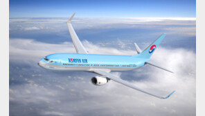 평창올림픽 기간 환승전용 내항기 운항