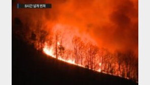 부산 기장군 삼각산에 산불, 9시간 넘게 진화 중…주민에 긴급 재난 문자