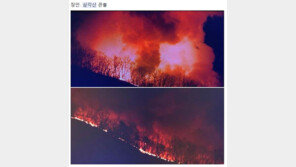 부산 기장군 삼각산에 산불…“인력 800명·헬기 등 투입해 진화 작업 中”