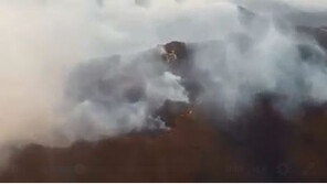 부산 기장군 삼각산에 산불, 산림청 “지형 험준해 진화 어려움…헬기 12대 투입”