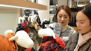 반려견 방한복은 딱 맞아야 ‘그뤠잇’…겨울철 반려견 산책 체크사항