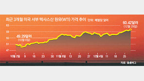 세계 3대 유종 모두 60달러 돌파… 국내 투자-소비위축 우려