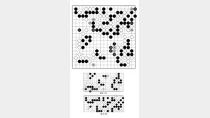 [바둑]알파고 vs 알파고 특선보… 턱밑까지 추격