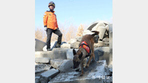 “불시 출동때 胃 탈나지 않게” 구조견 하루 한끼 먹으며 맹훈