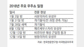 4일 새벽 잠깨면… 별똥별 쇼