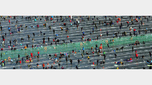 축제… 축제… “올해는 어느 축제에 갈까?”