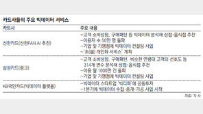 “경영 비상” 카드사들 빅데이터 사업 가속도