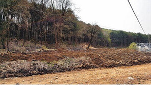 [화제의 분양현장]성남 판교 금토동 토지, 제2·3테크노밸리 인근 토지 매각