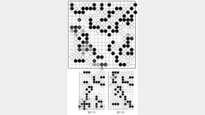 [바둑]알파고 vs 알파고 특선보… 소리 없는 추격