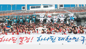 평창 성공을 위해, 파이팅!