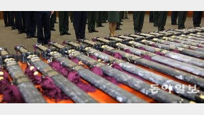 ‘文대통령 하사’ 삼정검이란? 호국·통일·번영 3가지 정신 담겨