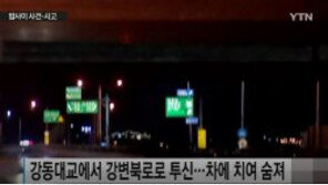 전자발찌 찬 40대 男, 범행 저지르고 다리서 투신 후 차에 치여 숨져