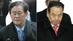 전여옥 “최경환 이우현 구속, 朴정권 적폐청산의 최종판…엔딩 가까운 듯”