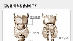 솔지 안와감압술 예정…‘우리 몸의 보일러’ 갑상샘 질환 증상 보니?
