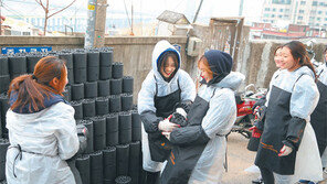 [르네상스 숙명여대]매 학기 1500여 명 자치적 리더십 역량 키워