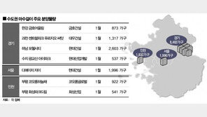 김포, 과천, 하남 수도권 마수걸이 물량 쏟아져