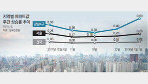 1주새 0.69% 껑충… 강남 4구 아파트값 심상치 않네