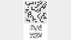 [바둑]알파고 vs 알파고 특선보… 정수 대신 이기는 수
