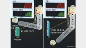 사람 근육처럼 부드럽고 정교한 ‘소프트 인공근육’ 나왔다