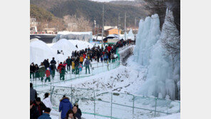 “칠갑산 겨울왕국으로 오세요”