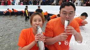 “맨손으로 잡았어요” 화천산천어축제 개막