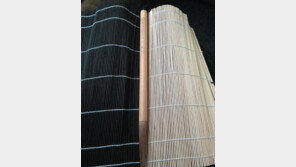 김규리, 文 대통령 동양화 붓 선물에 …“감동입니다”