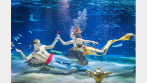 한화아쿠아플라넷63, ‘알라딘과 인어공주’ 론칭