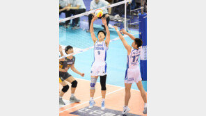 김형진-이다영을 통해 본 ‘백업세터’의 중요성