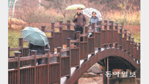 메마른 대지 적시는 겨울비