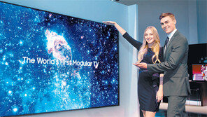 크기-형태 원하는대로… 삼성 ‘더 월’ TV 정의를 깨다