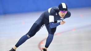 평창에서 다관왕 꿈꾸는 스타들