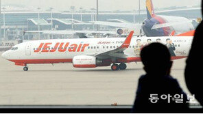 70만명 우르르… 벌써 항공티켓 전쟁