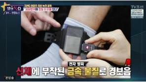 “낸시랭 남편 왕진진, 전자발찌 때문에 공항 검색대서 소동”