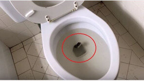 집 안 화장실 변기에서 뱀이 ‘스르륵’…모르고 앉았다면?!
