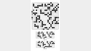 [바둑]알파고 vs 알파고 특선보… 그래도 역전은 없다