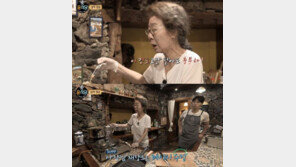 윤여정 “이서진, 정유미는 야단쳐도 박서준은 말라더라”…왜?