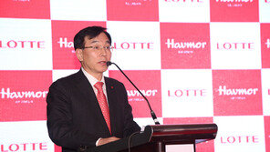 롯데제과, 아이스크림 업체 ‘하브모어’ 인수