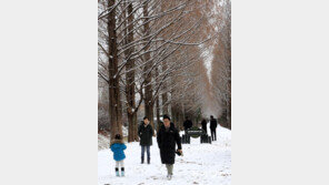 눈덮인 메타세쿼이아 가로수길