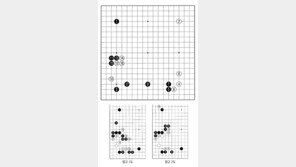 [바둑]알파고 vs 알파고 특선보… 고집쟁이 알파고