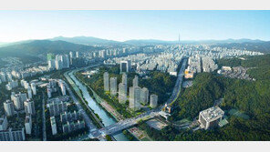 무술년 새해 ‘천당 위의 분당’ 다시 뜰까