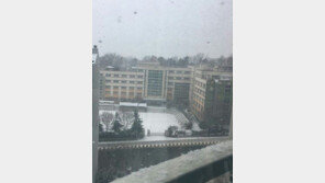 부산에 눈 ‘펑펑’, SNS도 ‘난리’…“부산 첫눈, 폭설 …신난다”