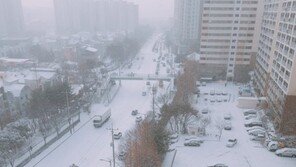부산 큰 눈, 일부 지역 교통·출입 통제…약 1cm 쌓일 듯
