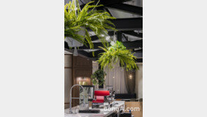 동대문 DWP, ‘On the cloud’ 컨셉 다이닝 공간으로 재탄생