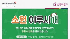 아시아나항공, 무술년(戊戌年) 맞아 이벤트 진행