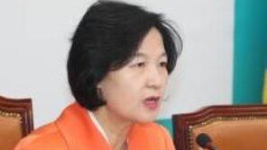 추미애 “남북 회담 매우 큰 성과, 눈 하얗게 내려 평화의 기운…”