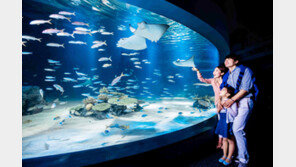 한화아쿠아플라넷, 서울 서대문자연사박물관 MOU