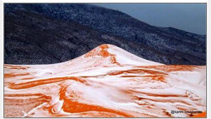 전문가 “사하라 사막 눈, ‘지구 온난화’ 때문”